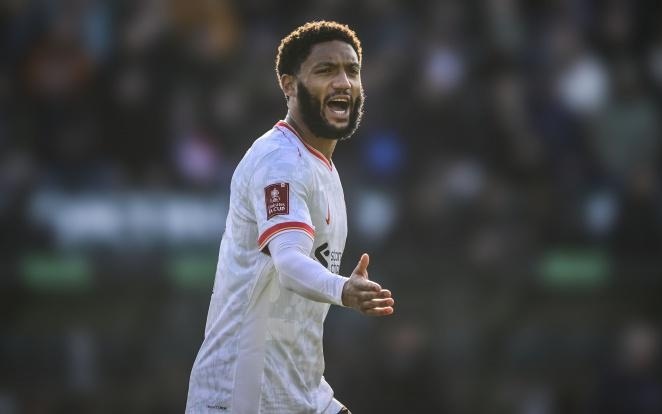 员约基奇的 员约基奇的