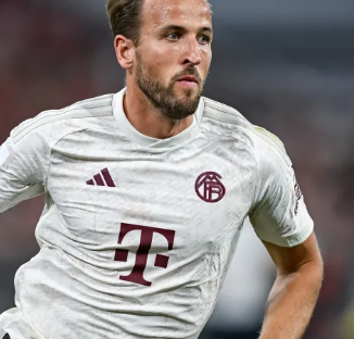 多的进攻组 多的进攻组